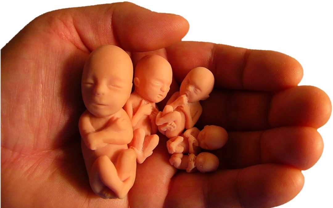 Kinderrechte fangen beim Lebensrecht der Ungeborenen an